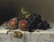 Prunes and grapes on a damast tablecloth johan